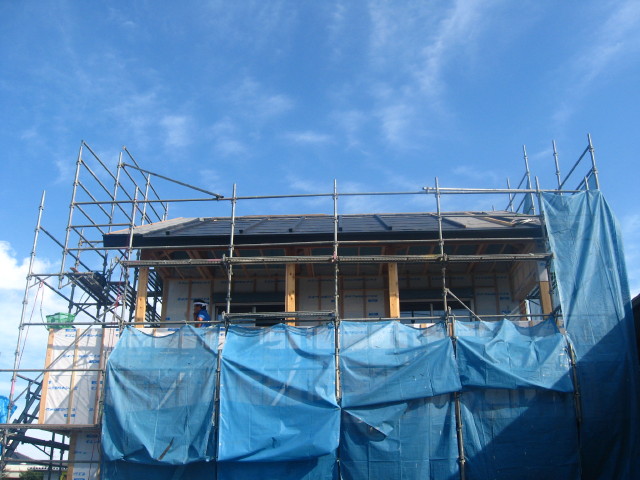 img0002.jpg