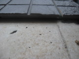 img0002.jpg